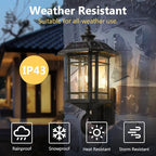 Emliviar Solar LED Wall Light Outdoor,Dusk to Dawn Solar Porch Light with Remote Control, Black Finish with Seeded Glass, Bulb Included, 22021M-SL BK