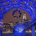 QITONG 165ft 500LED Blue Christmas Lights, String Lights Outdoor Waterproof Plug in, Green Wire Twinkle Tree Lights with 8 Modes