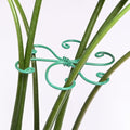 5PCS Monstera Plant Support Hook - 4.1 * 4.4IN, Durable Flexible Stabilizers for Indoor Plants, Metal Stem Supports and Leaf Holders, Easy Tool-Free Operation, Ideal for Fishbone Cactus Care