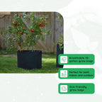 FCMP Outdoor 10-Gallon Modern Lightweight Non-Woven Insulating Fabric Breathable Grow Bags for Indoor or Outdoor Gardening, Black (5 Pack)