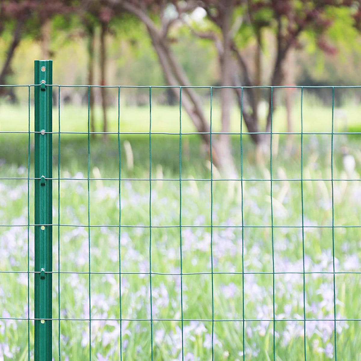 Green PVC Coated Welded Wire Fence 36 Inch x 50 Foot, 2 Inch x 3 Inch 16GA, Garden Border Fencing Roll Vinyl Coating Metal Wire Mesh for Yard Vegetable Plant Protection Poultry Netting