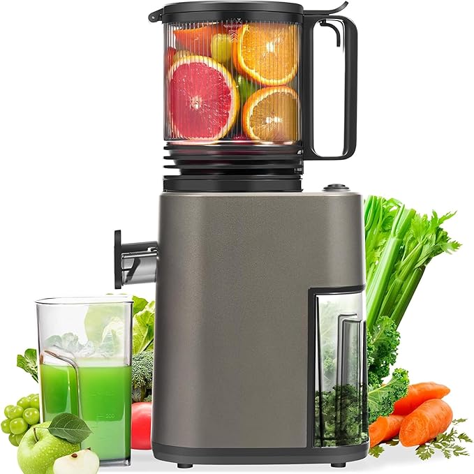 Masticating Juicer with 250W DC Motor, 5.4" Wide Feed Chute, Slow Cold Press Juice Extractor for Whole Fruits & Vegetables, High Juice Yield (DC-Gray)
