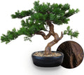 Artificial Bonsai Tree 16" Tall with Realistic Wood and Ceramic Pot Fake Plants Cypress Juniper Pine Zen Faux Plants for Home Bedroom Office Bathroom Japanese Decor