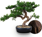 Artificial Bonsai Tree 16" Tall with Realistic Wood and Ceramic Pot Fake Plants Cypress Juniper Pine Zen Faux Plants for Home Bedroom Office Bathroom Japanese Decor