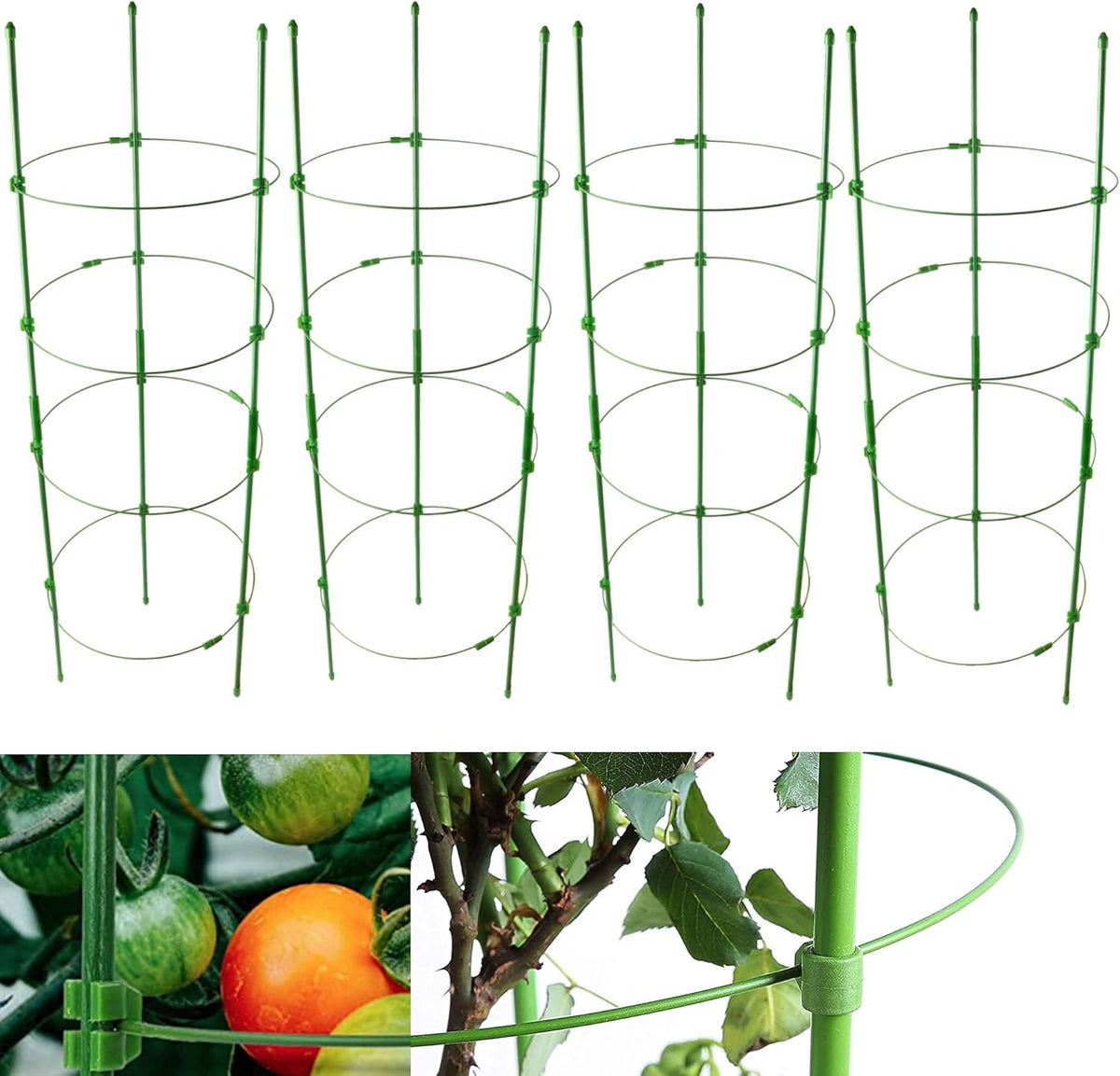 4 Pack Adjustable Tomato Cages, 36 Inch Plant Support Garden Trellis for Tomatoes, Cucumbers, Vegetables, Flowers, Roses & Climbing Vines – 4 Adjustable Rings for Sturdy Growth