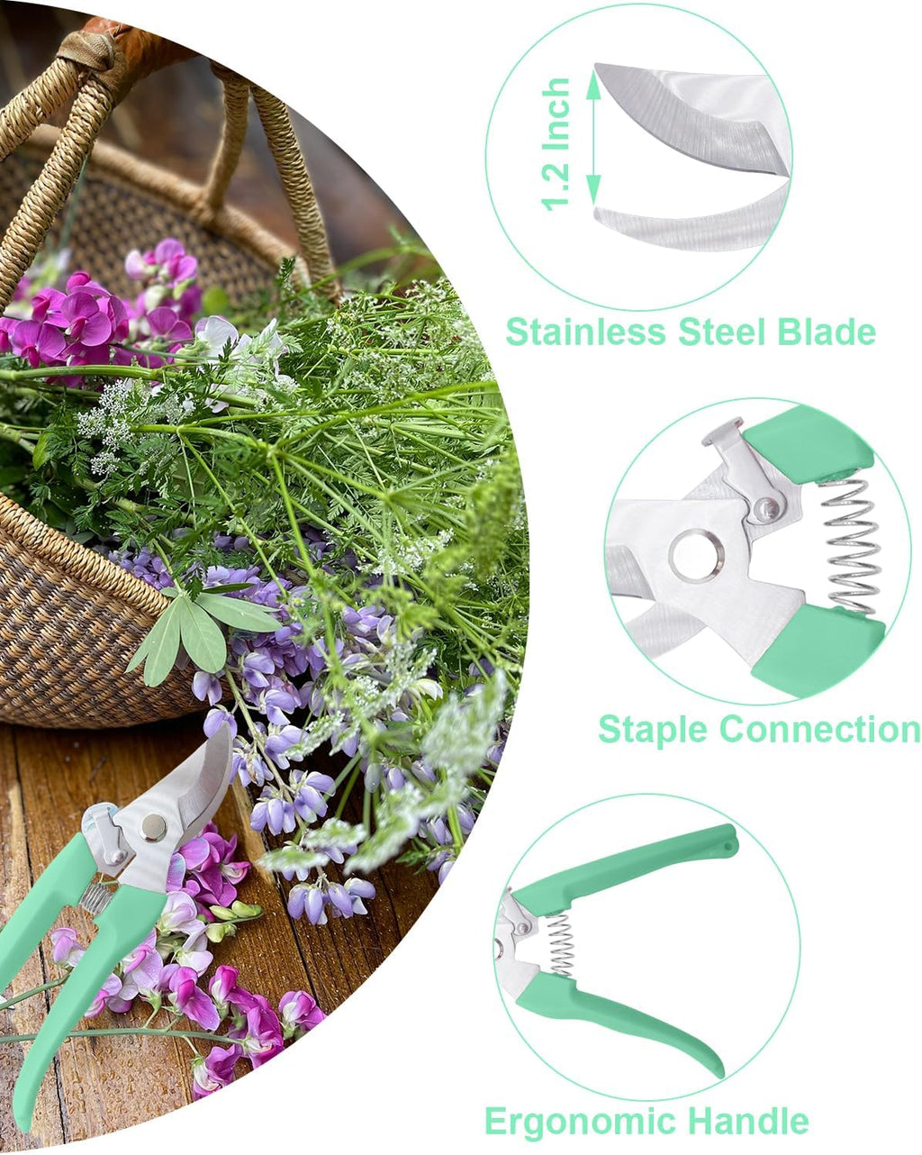 Pruning Shears for Gardening, 4 Pack Garden Scissors for Cutting Fresh Flowers, Floral Clippers for Plants, Fruits (Green)