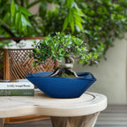 Bonsai Tree Pot - Ceramic Planter Pot with Drainage Hole 12 Inch Bonsai Pots Decorative Orchid Succulent Plant Pots for Indoor Outdoor Plants Blue