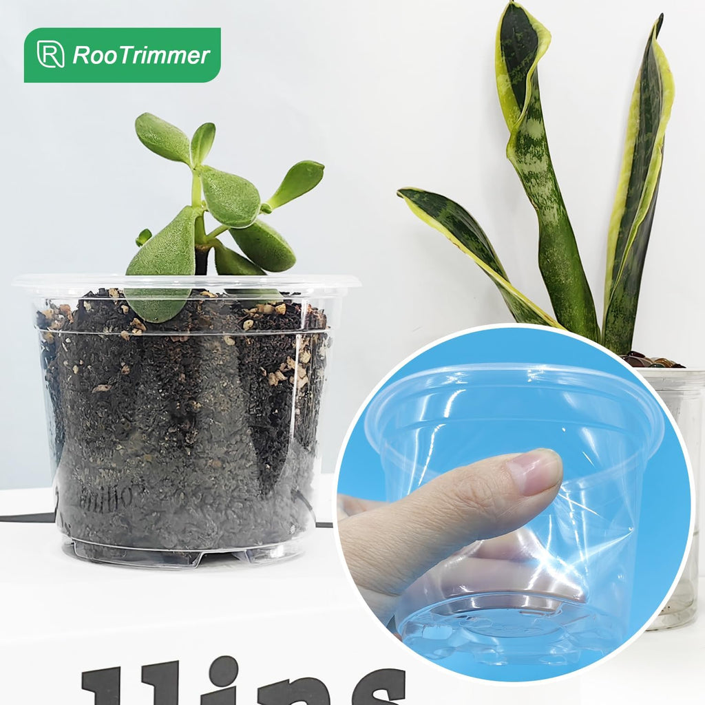 Clear Seedling pots 100-Pack 3.2 Inches Round for Seeds Starter Pots, Seeds Germination Transparent Clean Pots with Drainage Holes(100 Pcs, 3.14Inch)