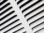 HVAC Premium 16 x 6 Duct Opening Steel Return Air Filter Grille, for 1-inch Filter, Removable Door, Flat Stamped HVAC Vent Cover Grille, Outer Dimensions 18.5 x 8.5