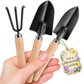 3 Pcs Mini Gardening Tools – Mini Garden Tools Set with 2 Small Shovels (Narrow and Wide) & Hand Rake, Rustproof Metal Build, Ergonomic Wooden Handles – Potting & Transplanting Kit for Indoor Plants