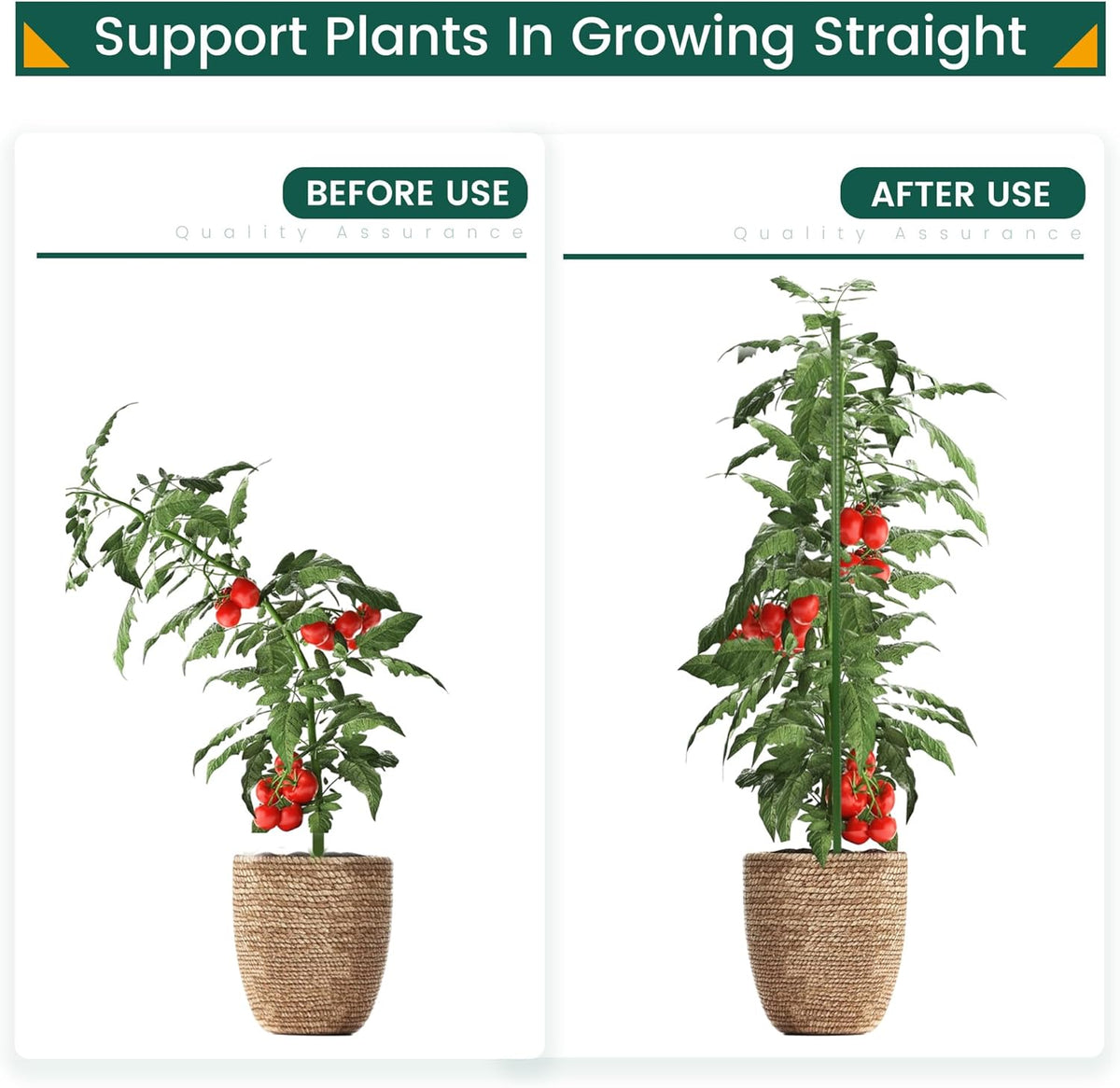36 Inch 3 Ft Plant Support Garden Stakes 50 PCS, Sturdy Steel Plastic Coated Sticks for Outdoor Growing Climbing, Tomato, Trees, Cucumber, Beans