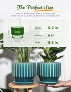 AISBUGUR Plant Pots 6 inch Ceramic Pots for Indoor Plants Set of 2 Flower Pots Unique Crackle Glaze Design Plant Pots with Drainage Hole and Saucer Come with Drainage Nets (Aqua Green)