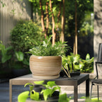 SQOWL Ceramic Plant Pot - 10 Inch Large Planter with Drainage Hole and Saucer, Round Modern Planter for Indoor Plant Outdoor, Decorative Ceramic Flower Pot, Porch Decor, Garden Gift for Women, Yellow