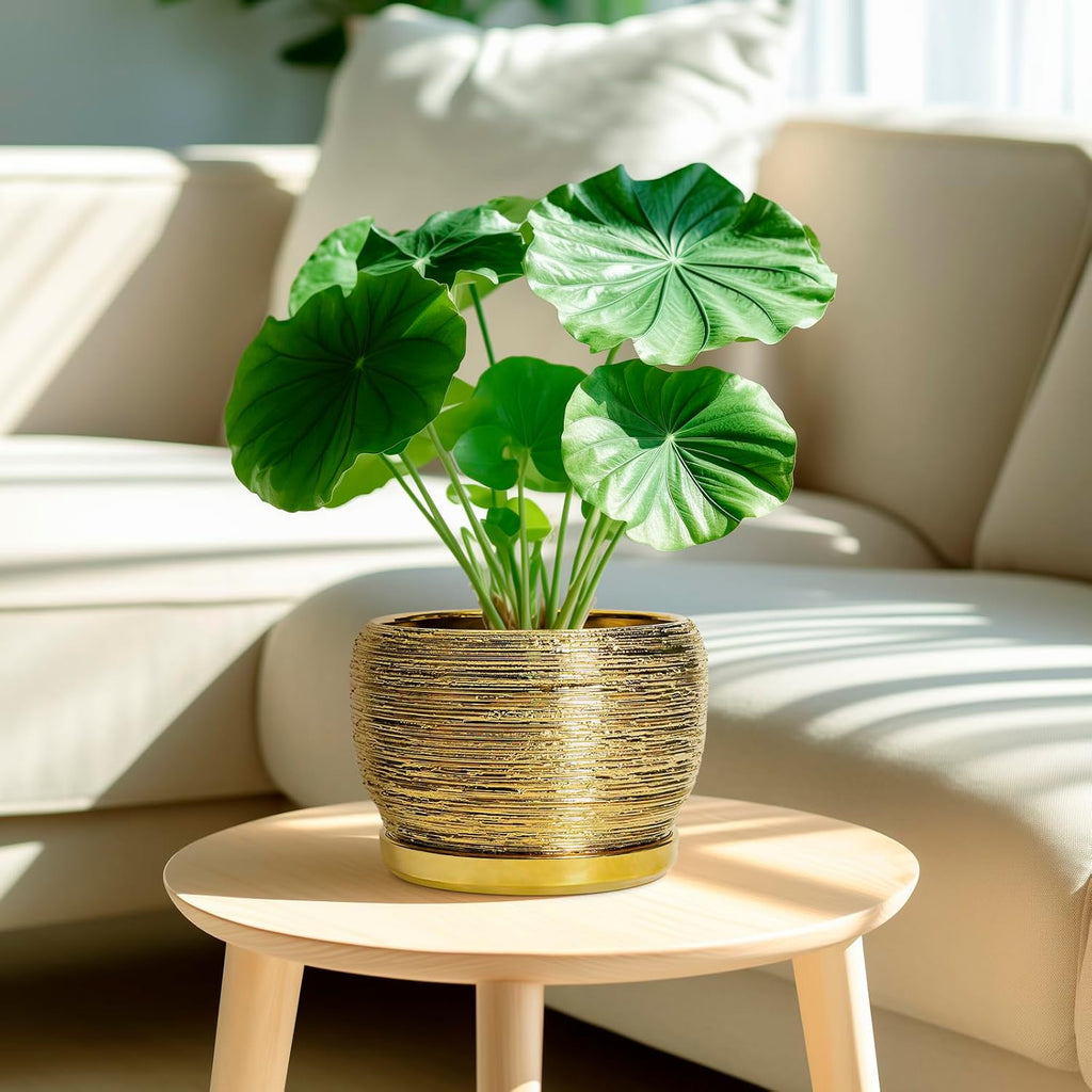 SQOWL Ceramic Flower Pot - 8 Inch Plant Pot Indoor Outdoor, Round Planter with Drainage Hole and Saucer, Decorative Modern Planter, Home Decor, Plant Lovers Gifts, Gold