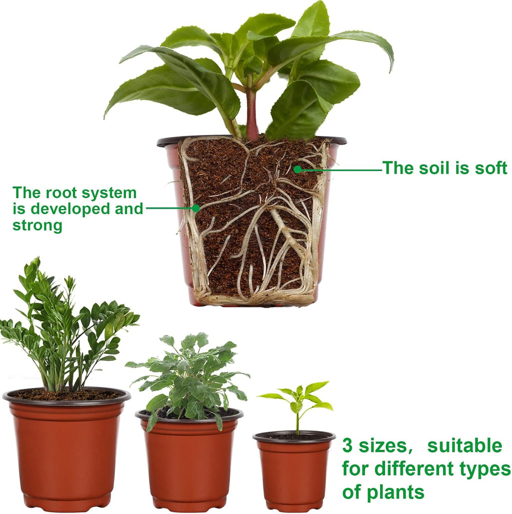 Augshy Nursery Pot, 75 Pcs 4", 5", 6" Plastic Plant Nursery Seed Starting Pots for Indoor Outdoor Succulent Seedling Cutting Transplanting