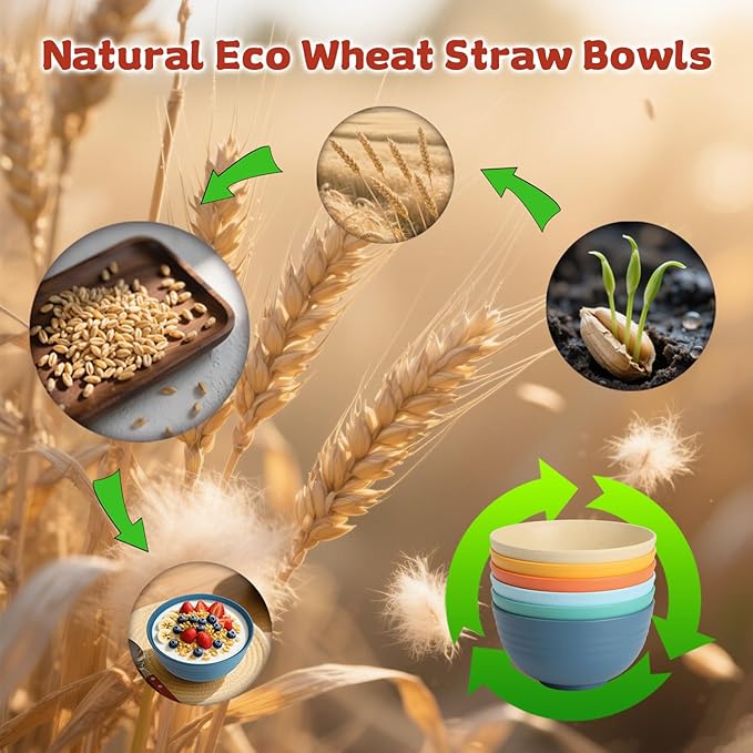 Wheat Straw Camping Bowls Sets of 6,Unbreakable 26oz Lightweight Bowls Sets for Outdoors Activity,Breakfast Bowls for Cereal and Salad.Vibrant Series
