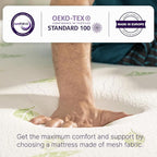 NapQueen Queen Size, 6 Inch Anula Green Tea Infused Memory Foam Mattress, Bed in a Box, CertiPUR-US Certified Mattress