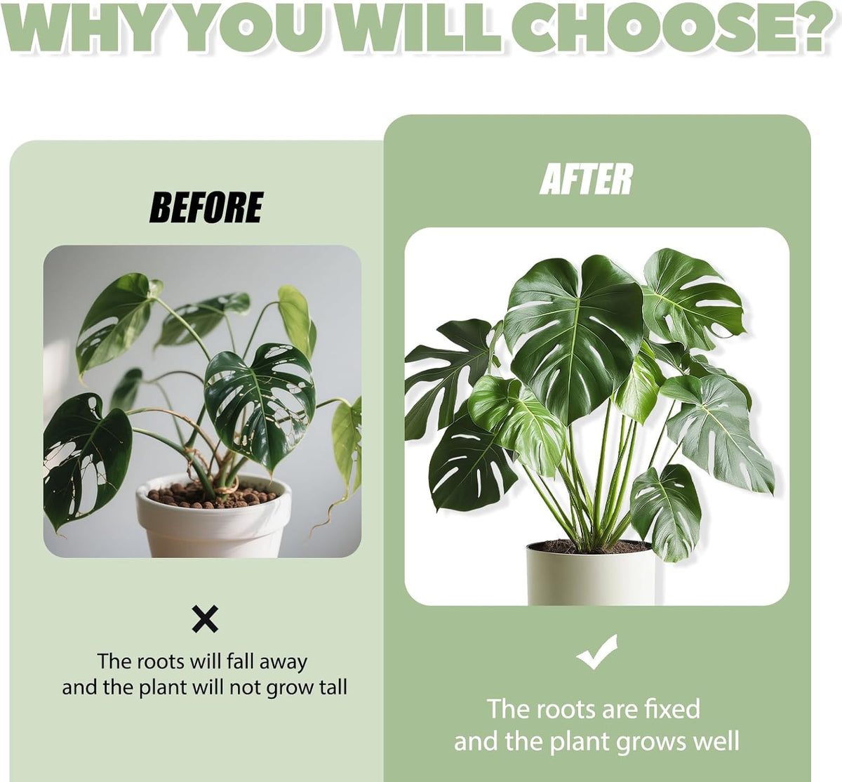 Monstera Plant Support, 16Pcs Plant Stem Support for Indoor Plants - Heavy Sturdy Climbing Plant Stakes for Potted Vines, Monstera, Flowers Green
