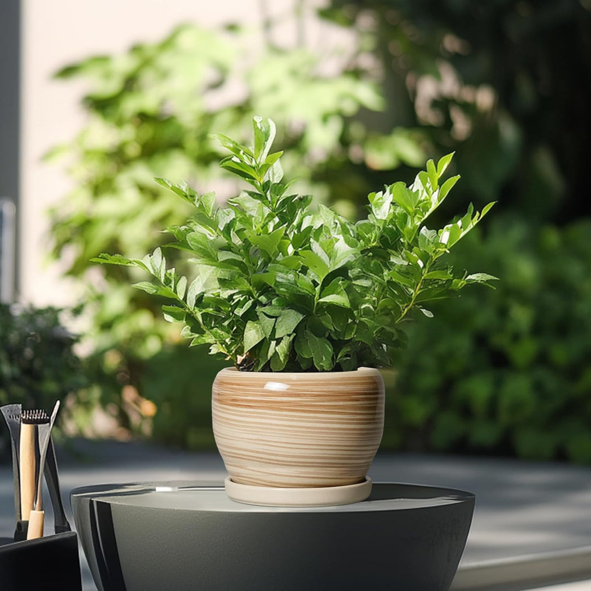 SQOWL Ceramic Pot for Plants - 6 Inch Indoor Planter with Drainage Hole and Tray, Round Modern Flower Pot Outdoor, Decorative Succulent Planter, Kitchen Decor, Gifts for Plant Lovers, Yellow