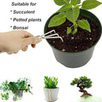 3 Pcs Stainless Steel Mini Garden Tools Set Small Tiny Shovel Trowel Root Extractor Hand Rake Indoor Outdoor Gardening Tools for Pot Plants Succulent Bonsai
