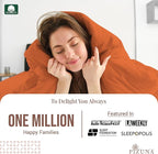 Pizuna Pure 100% Cotton King Duvet Cover Set, Luxurious 400 Thread Count Long Staple Cotton Sateen Weave with Button Closure (Combed Burnt Orange Cotton Duvet Cover King)