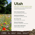 Eden Brothers Utah Wildflower Mixed Seeds for Planting, 1 lb, 480,000+ Seeds with Snapdragon, Yarrow | Attracts Pollinators, Plant in Spring or Fall, Zones