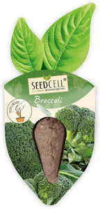 Vegtrug Seed Pods Kit - Vegetable Patch, Non-GMO Seeds with Fully Biodegradable Seed Pods, Contains Seeds of Broccoli, Zucchini, Pumpkin, and Butternut Squash, Pack of 1