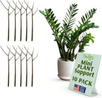 Twigs - Plant Support Stakes for Indoor, Outdoor & Climbing Plants, Gardening Supplies, Garden Accessories, Trellis & Ring Alternative, Made in USA - Moonstone, 10 Pack, 12" L, Mini Twigs