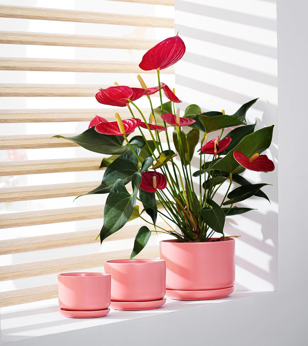 Ton Sin Plant Pots, 4.1+5.1+6.5 inch, Set of 3, Ceramic Planters with Drainage Hole and Saucer, Indoor Flower Pot Gifts for Mom(Matte Orange)