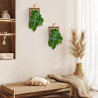 DILATATA Artificial Hanging Plants with Wooden Frame 2 Pack Faux Pothos Leaves Hanging Vine Greenery Plants for Living Room Bedroom Farmhouse Office Home Decor