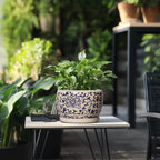 SQOWL Ceramic Planters for Indoor Plants - 8 inch Plant Pot with Drainage Hole and Saucer, Decorative Flower Pot Outdoor, Porcelain Round Planter, Living Room Decor, Gardening Gifts, Blue and Beige