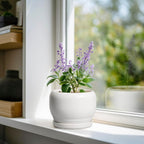 SQOWL Ceramic Flower Pots - 6 Inch Plant Pot Indoor Outdoor, Ceramic Planter with Drainage Hole and Saucer, Modern Round Succulent Planter, Bookshelf Decor, House Warming Gifts New Home, White