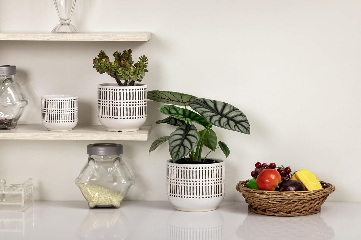 Docrin Plant Pots Ceramic: 6.5+5.3+4 Inch Flower Pots with Drainage Holes for Plants, Modern Flower Pots for Home and Office, Indoor-Outdoor - Set of 3/White and Black