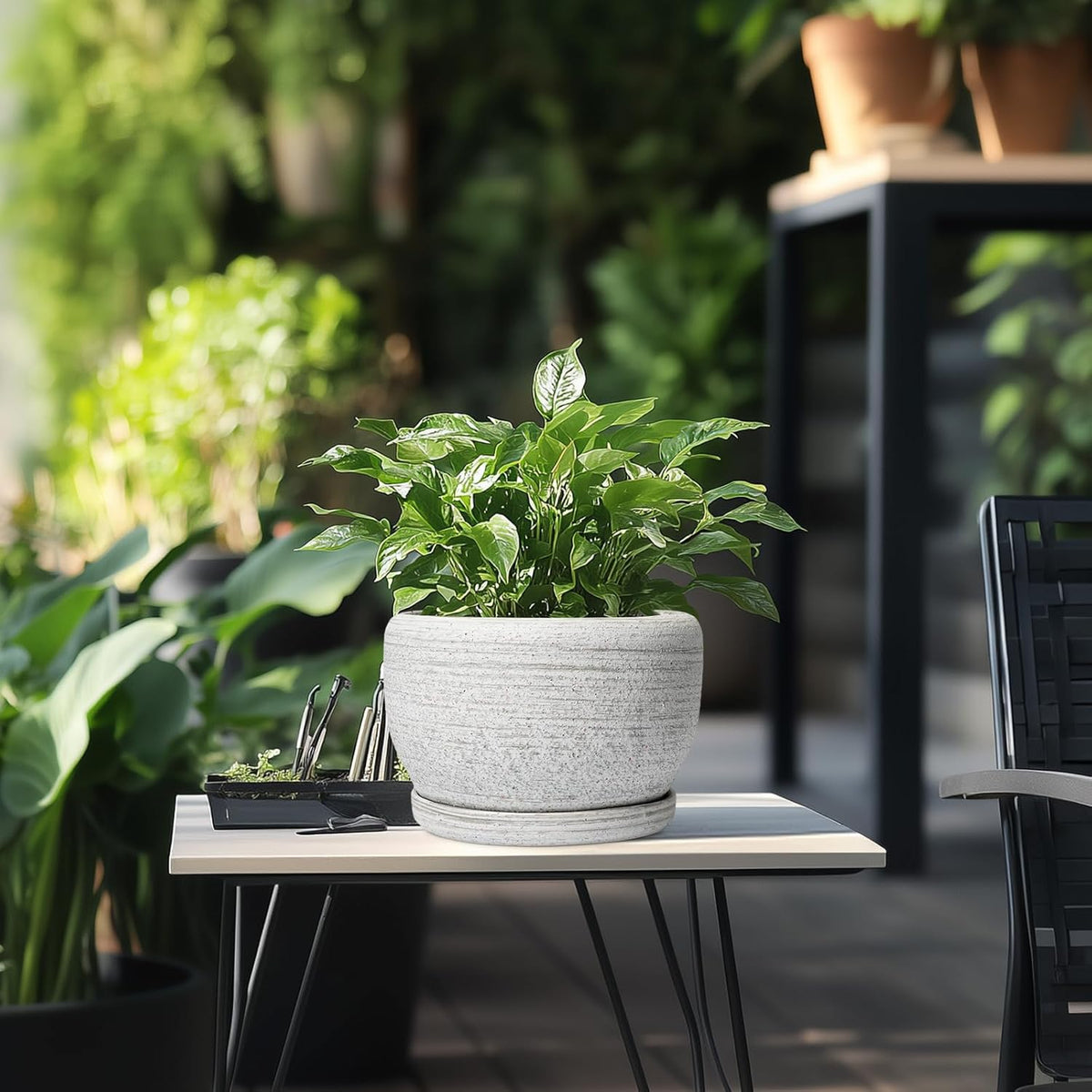 SQOWL Ceramic Plant Pots - 8 inch Planter for Indoor Plants, Round Flower Pot with Drainage Hole and Plant Saucer, Modern Decorative Ceramic Planter Outdoor, Home Room Decor, Garden Gifts, Gray