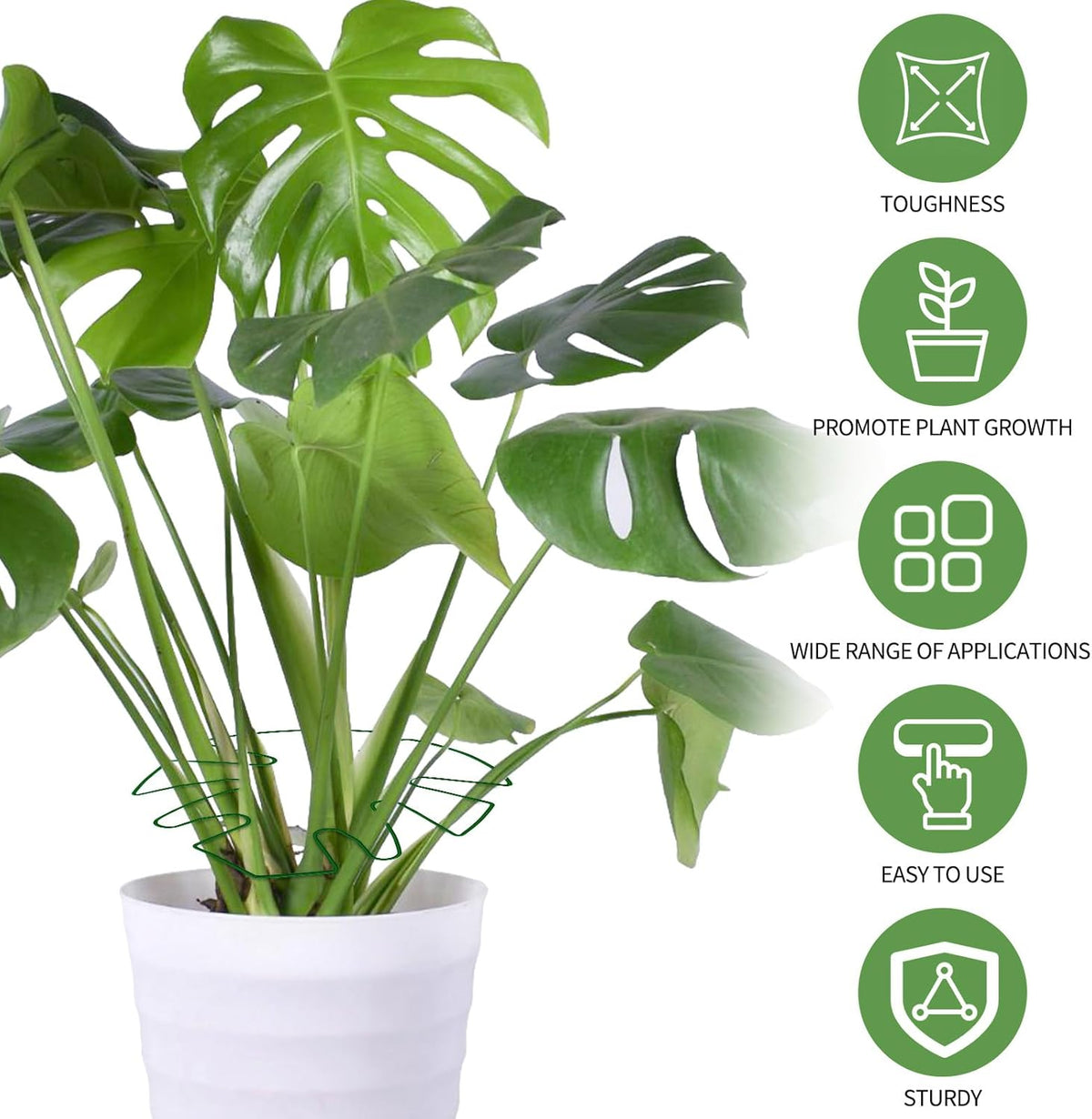 Spiritlele 5 Pcs Green Plant Stem Support Holder Set Monstera Plant Support Clamp Growth Accessories for Indoor Plants Small