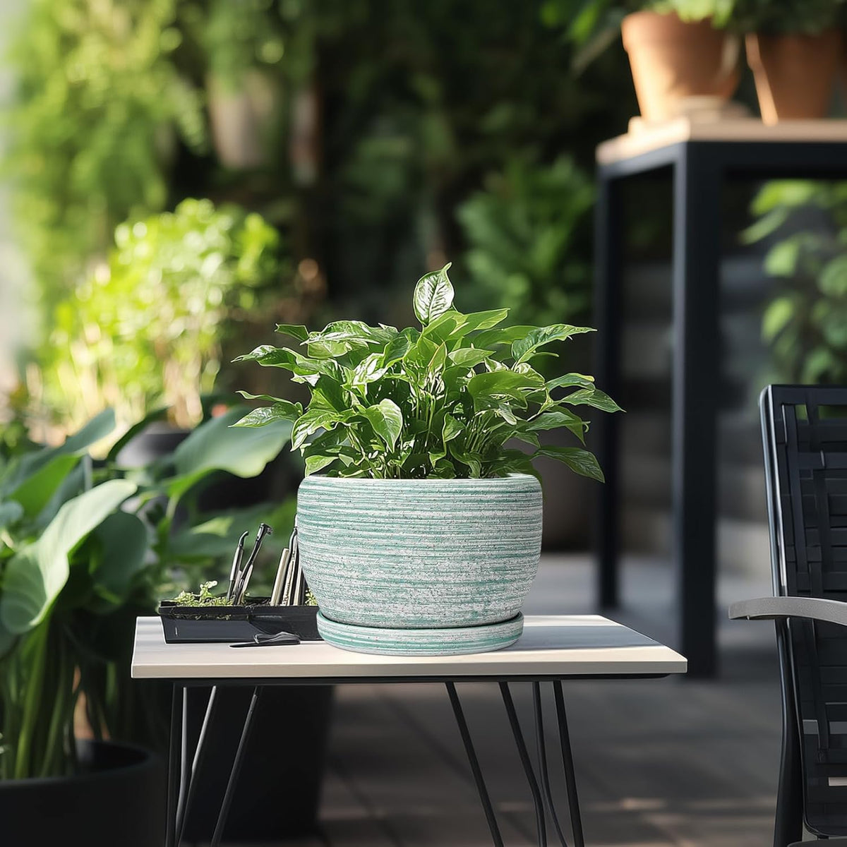 SQOWL Ceramic Planters for Indoor Plants - 8 inch Plant Pot Outdoor, Ceramic Flower Pot with Drainage Hole and Saucer, Round Modern Planter, Living Room Apartment Decor, Birthday Gifts, Green