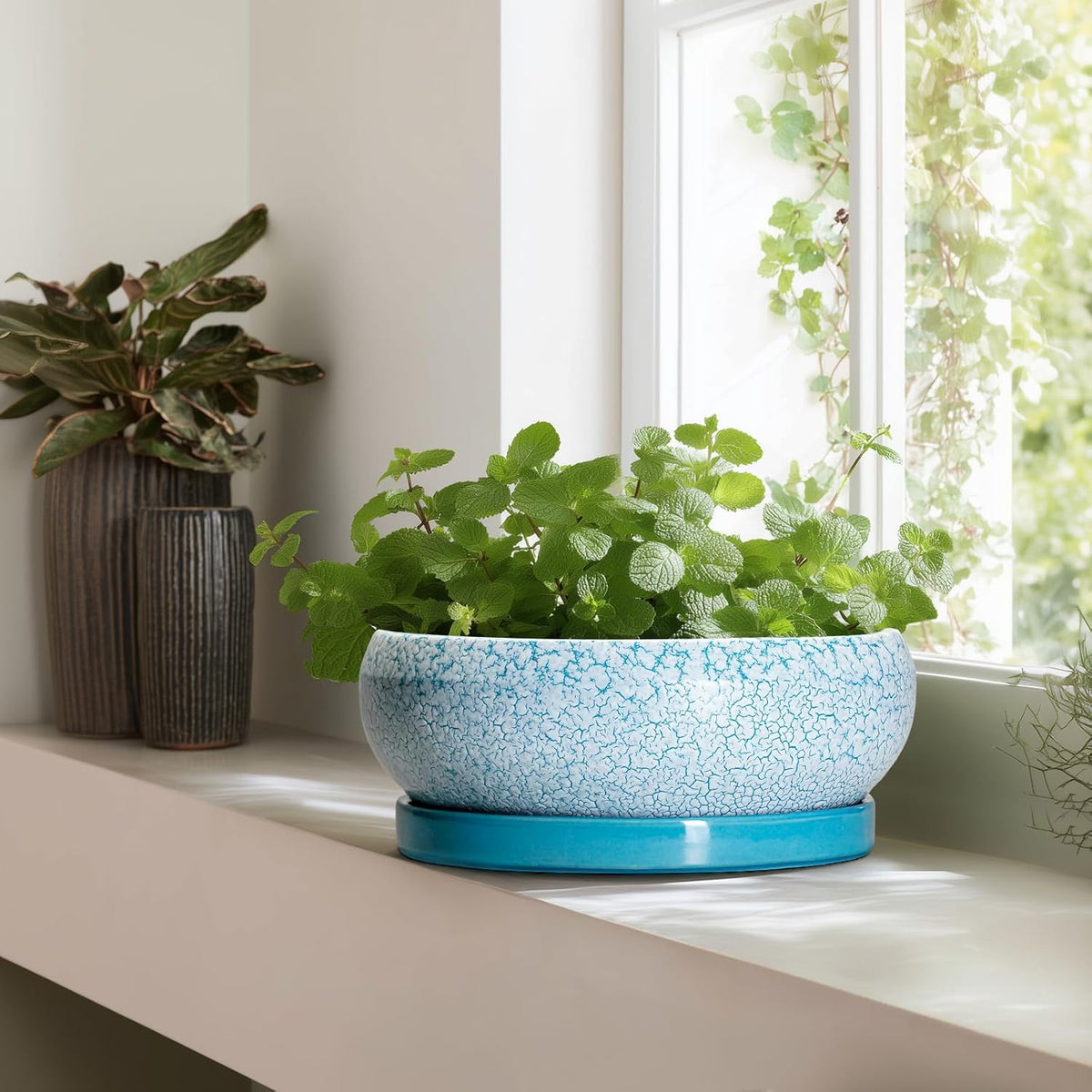 Bonsai Pots - 13 Inch Ceramic Succulent Pots with Drainage Hole and Tray, Large Succulent Planter Indoor Outdoor, Round Planter, Shallow Plant Pot, House Decor, Gifts for Plant Lover, Blue