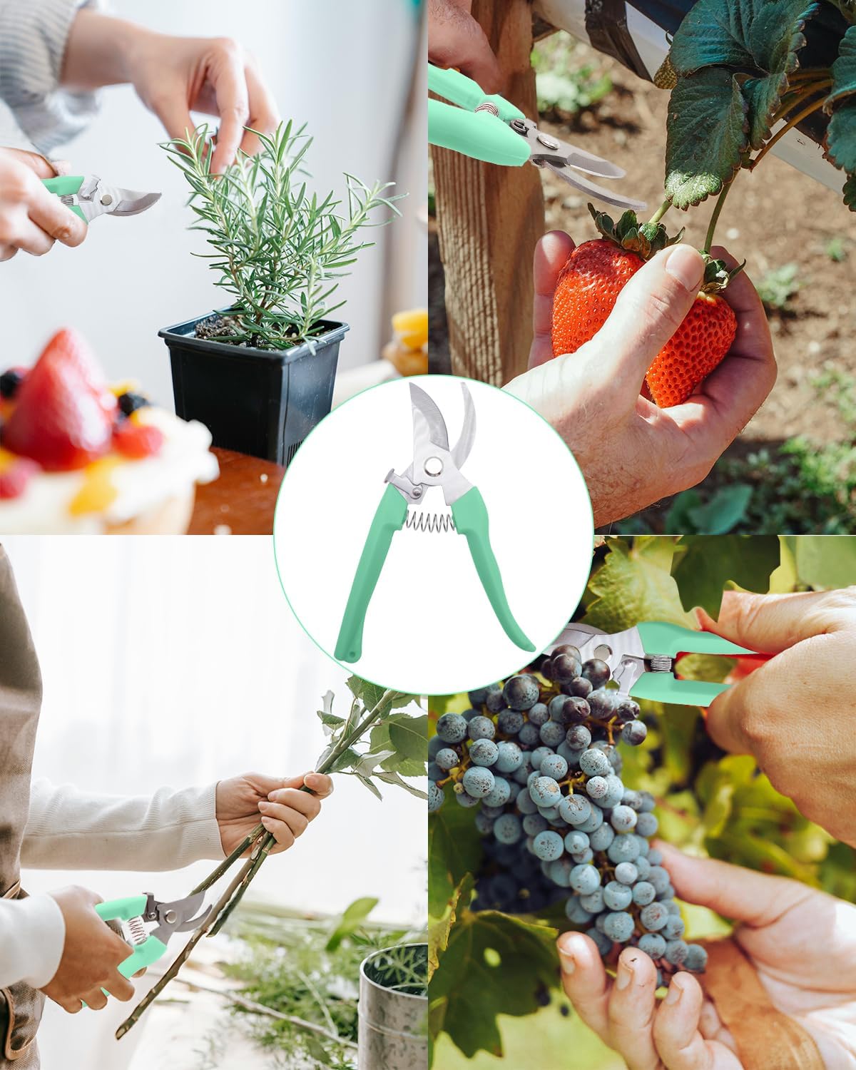 Pruning Shears for Gardening, 4 Pack Garden Scissors for Cutting Fresh Flowers, Floral Clippers for Plants, Fruits (Green)