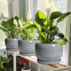 SQOWL Ceramic Pot for Plants - 8 Inch Plant Pot Indoor with Drainage Hole and Saucer, Round Planter Outdoor, Decorative Modern Planter for Flower, Bedroom Decor, Plant Lovers Gifts, Gray