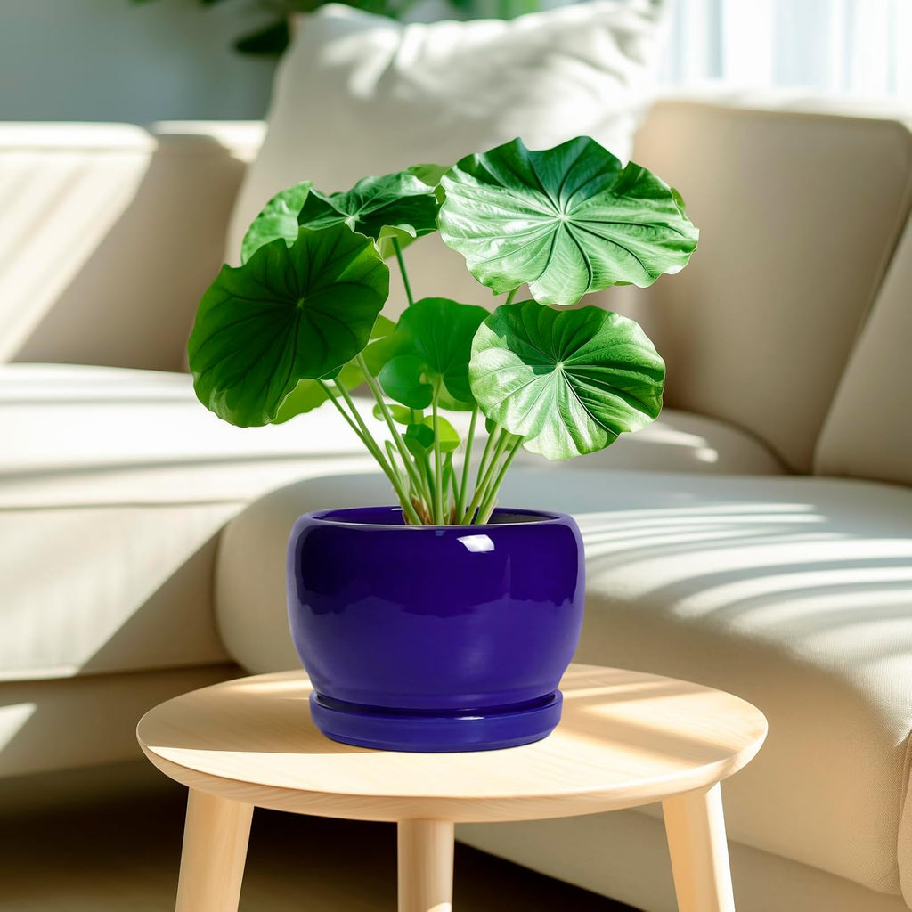 SQOWL 8 Inch Plant Pot - Ceramic Planter for Indoor Plants Outdoor, Ceramic Flower Pot with Drainage Hole and Saucer, Modern Round Planter, Bathroom Decor, Gifts for Plant Lovers, Blue
