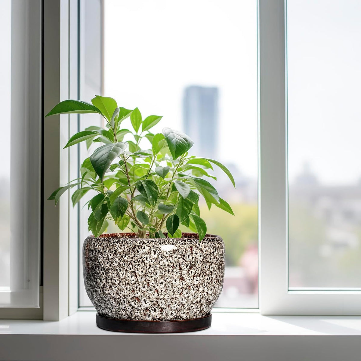 SQOWL Ceramic Plant Pots - 10 Inch Planter for Indoor Plants Outdoor, Large Flower Pots with Drainage Hole and Saucer, Decorative Round Planter, Apartment Decor, Garden Gifts for Women, White