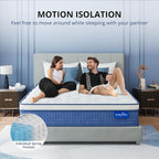 Queen Mattress 12 Inch Hybrid Mattress in a Box, Medium Firmness, Foam and Individual Pocket Springs for Motion Isolation & Pressure Relief, CertiPUR-US Certified, 60" x 80"