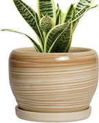 SQOWL Ceramic Pot for Plants - 6 Inch Indoor Planter with Drainage Hole and Tray, Round Modern Flower Pot Outdoor, Decorative Succulent Planter, Kitchen Decor, Gifts for Plant Lovers, Yellow