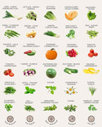 50 Tactiko Survival Vegetable, Herb & Fruit Seed Kit - U.S.A. Harvested Varieties - 37,000+ Non-GMO Heirloom Seeds - Emergency Seed Vault in Waterproof Mylar Bag - Long-Term Storage