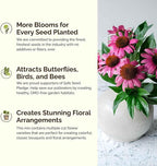 Eden Brothers Mississippi Wildflower Mixed Seeds for Planting, 1 oz, 30,000+ Seeds with Lupine, Sunflower | Attracts Pollinators, Plant in Spring or Fall, Zones