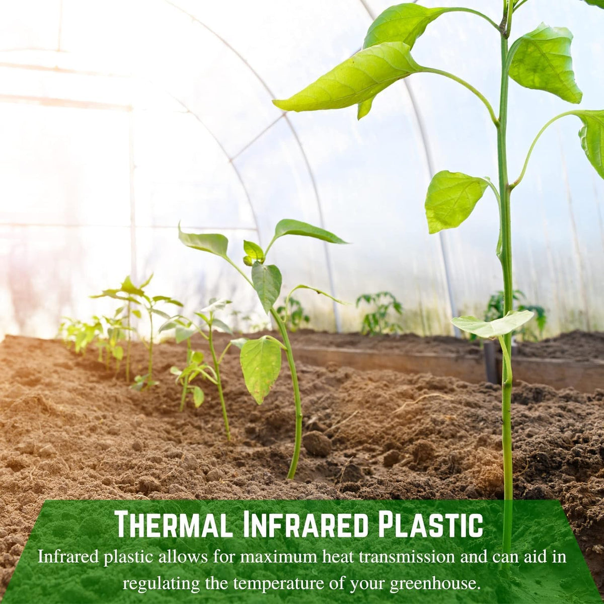 Farm Plastic Supply - Clear Coolmax Greenhouse Plastic Sheeting - 6 Mil - 4 Year UV Resistant Infrared Anti-Condensate Green House Covering Thermal Greenhouse Plastic 6 mil (50' x 30')