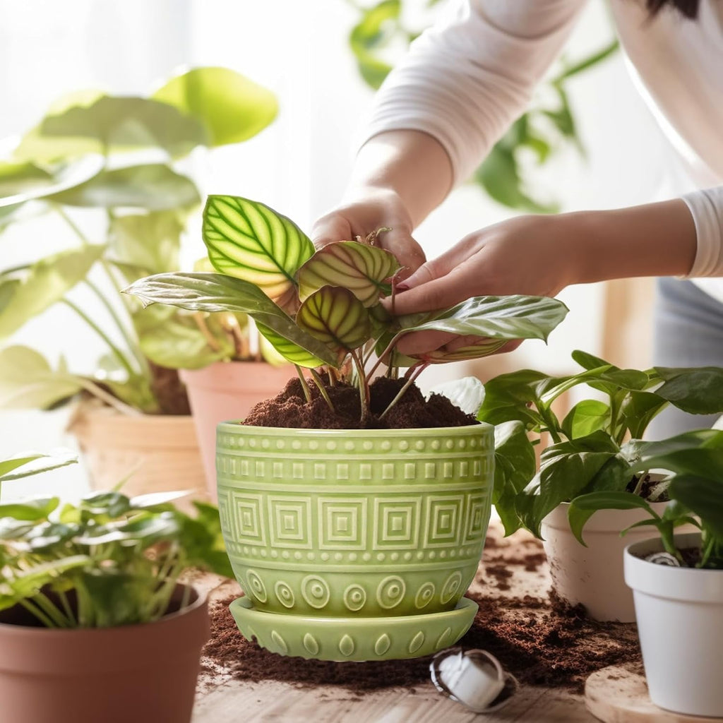 G EPGardening Ceramic Pots for Plants - 5.5 Inch Round Ceramic Planter for Indoor, Boho Succulent Pot with Drainage Hole and Plant Saucer, Gift for Plant Lover, Garden Home Desk Decor, Green