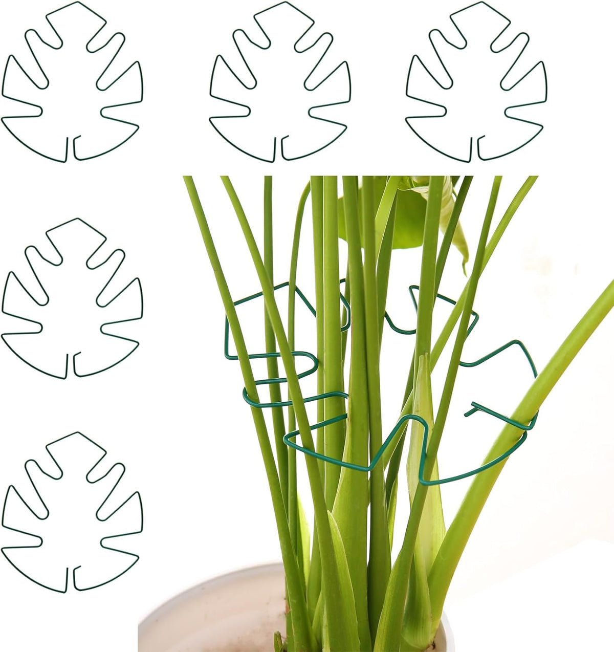 Spiritlele 5 Pcs Green Plant Stem Support Holder Set Monstera Plant Support Clamp Growth Accessories for Indoor Plants Small