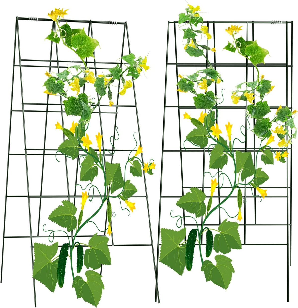 AGTEK 2 Packs 18" x 46" Foldable Cucumber Trellis with Zip Ties Plant Support A Frame Metal Trellis for Cucumber, Climbing Plants, Vegetable Flowers