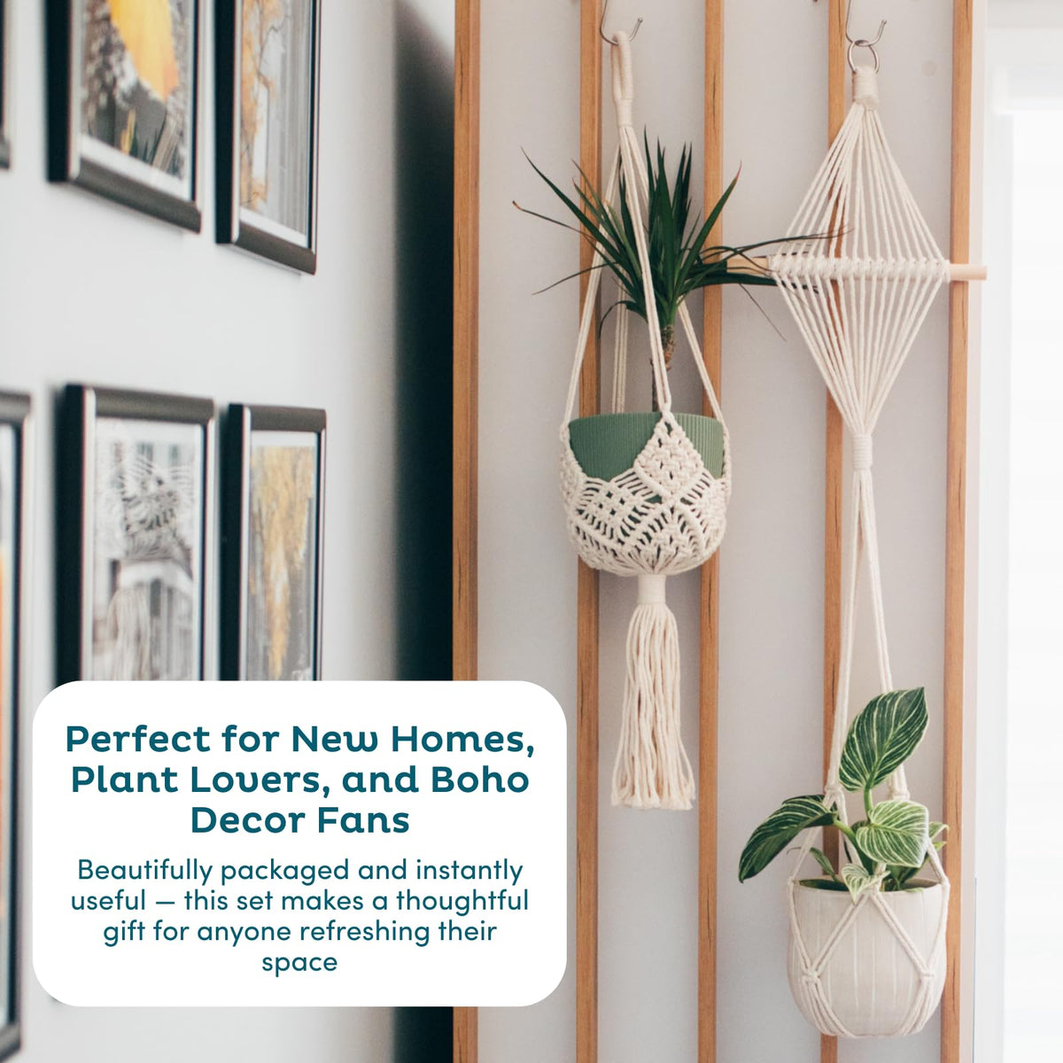 Nook Theory 4-Pack Macrame Plant Hangers with 8 Hooks - Hanging Planters for Indoor Plants, Boho Macrame Hangers Indoor Outdoor, Decorative Plant Hanger Indoor (Cream)